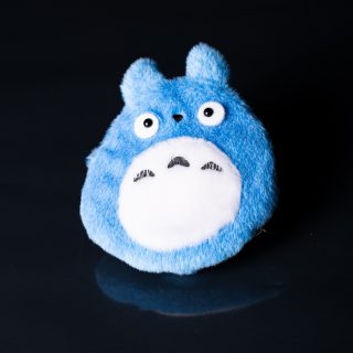 Totoro-kukkaro