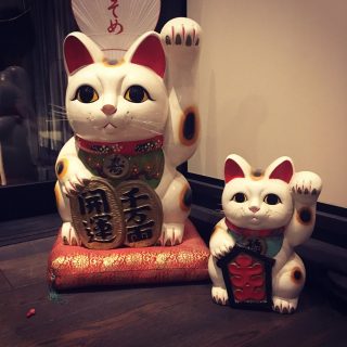 Raisa Porrasmaa: Japani, kissakirjojen luvattu maa