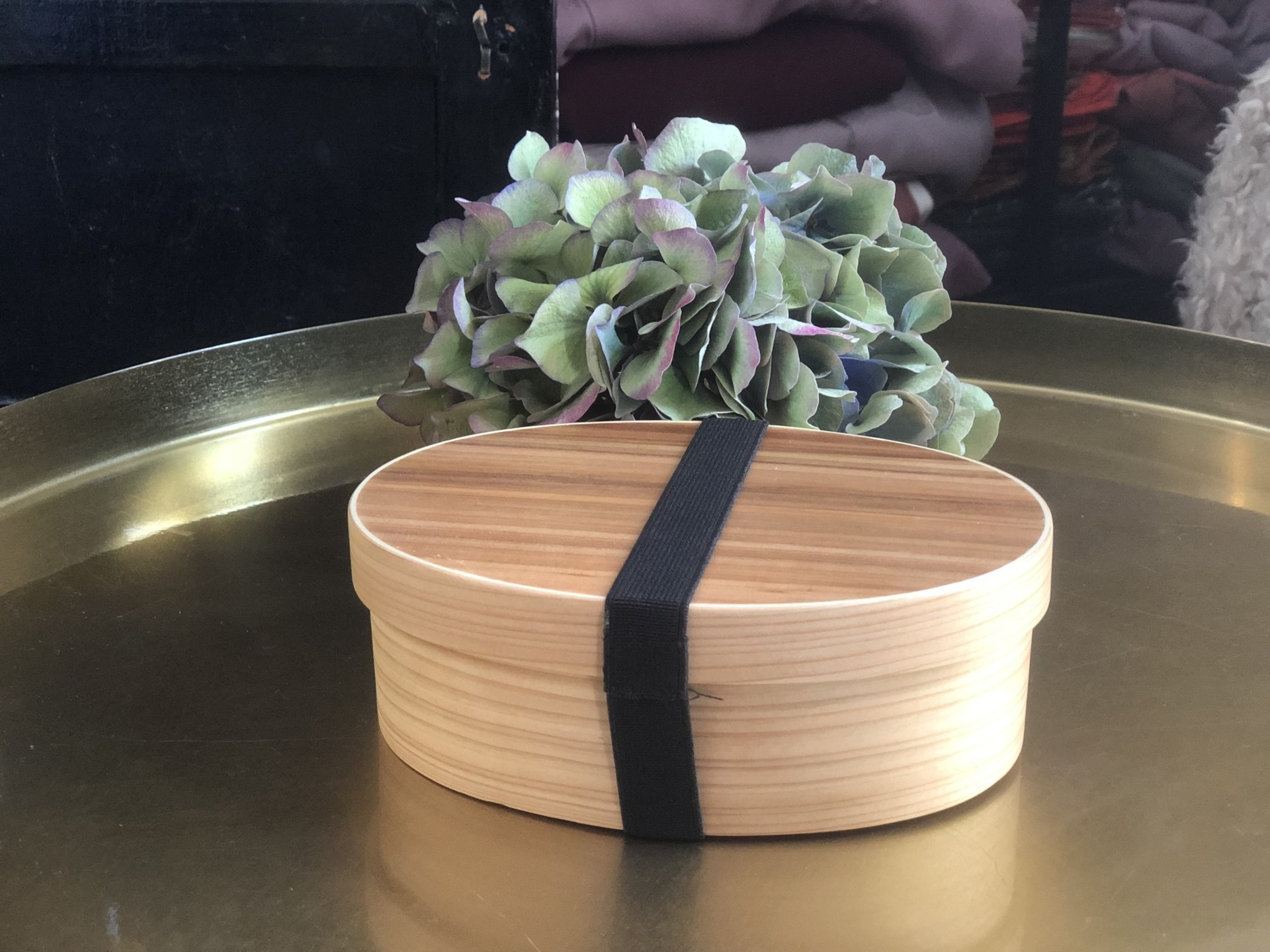 Bento-laatikko (eväsrasia) - Image 8