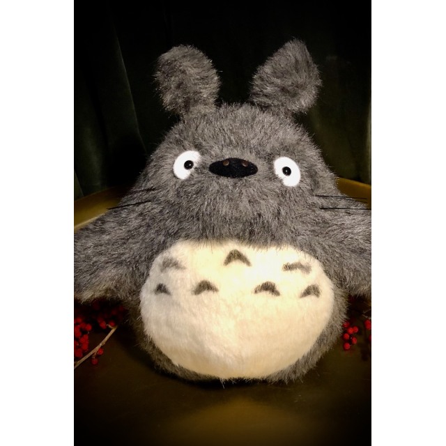 Iso Totoro 28 cm