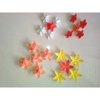 Tabin yksityinen origamipaja 2.5. Kevään kukkaset