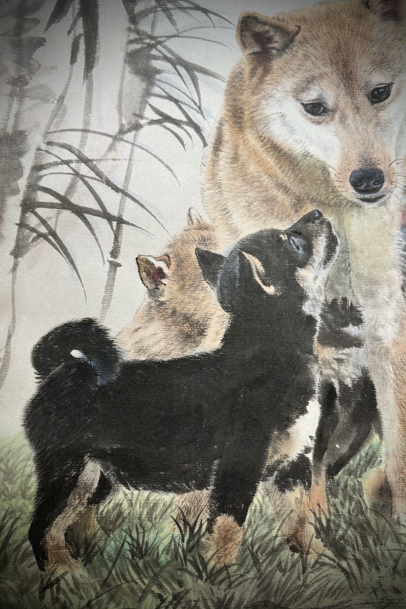 Shiba-kakejiku #825 - Image 2