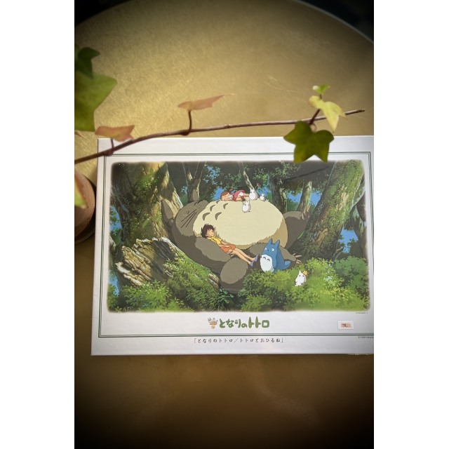 Iso Totoro-palapeli, nokoset