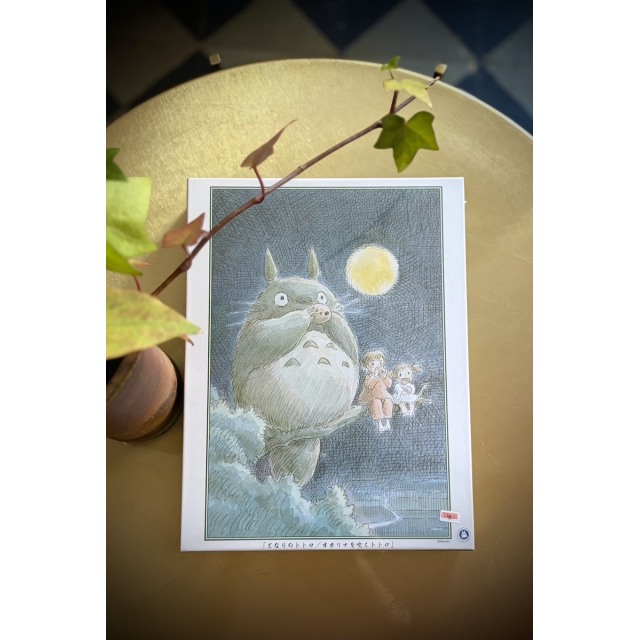 Iso Totoro-palapeli, yösoitto